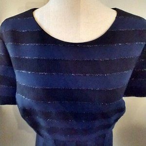 Tahari ASL Metallic Striped Dress Stretch Size 16 Blue Black